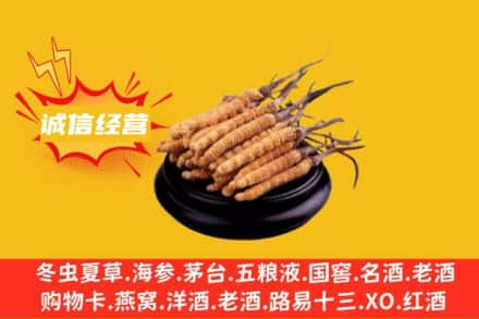 南通市回收冬虫夏草
